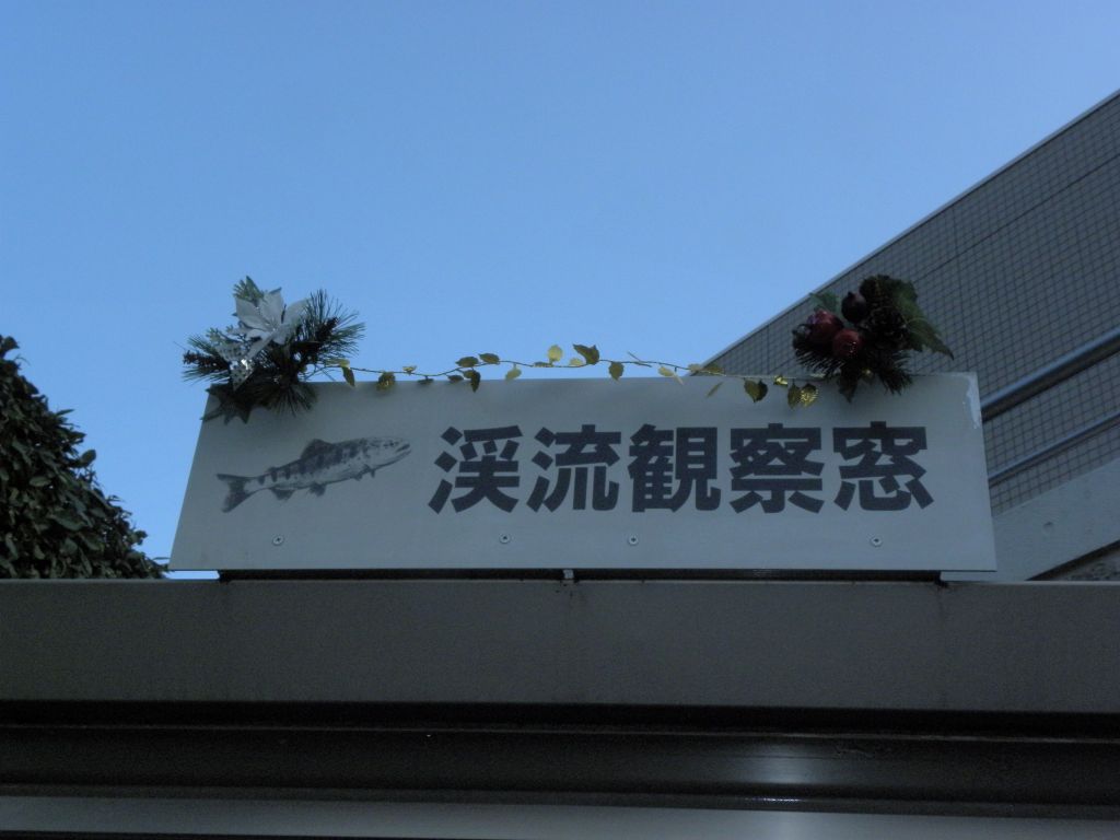 09st4.jpg