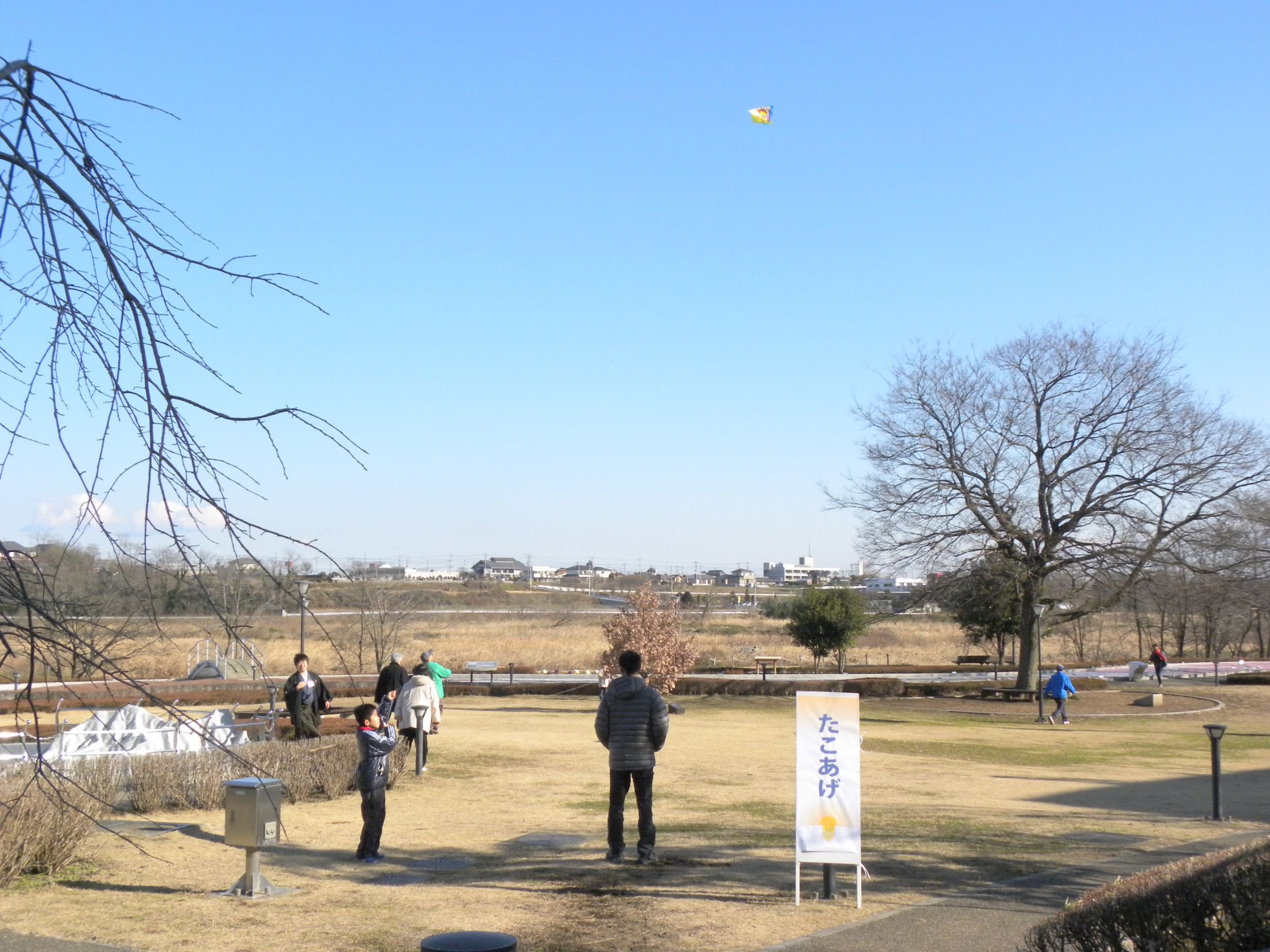 100105shougatu3.jpg