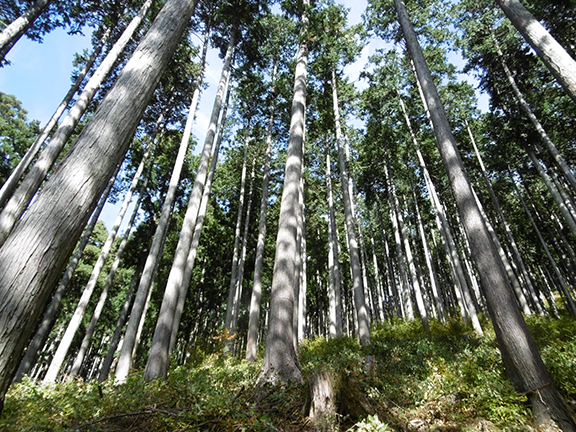 20180222-1.jpg