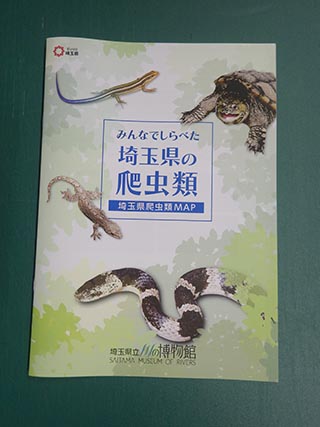 IMGP0429.JPG