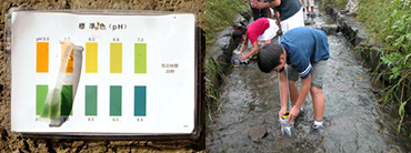 写真：簡易水質調査試薬を使って川の水質を調べている小学生たち