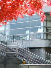 12.11.22_irohamomiji21.jpg
