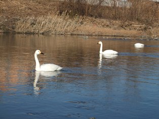 2013.12.17_2.jpg