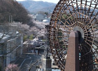 2014.3.29sakura&suisya1.jpg