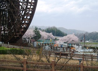 20150403sakura05.jpg