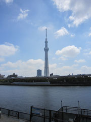 hada_120610_ph1.jpg