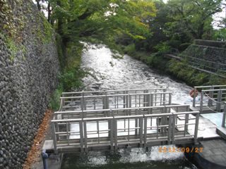 玉川上水