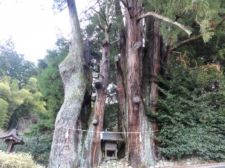 萩日吉神社