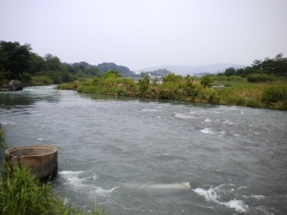 荒川本流