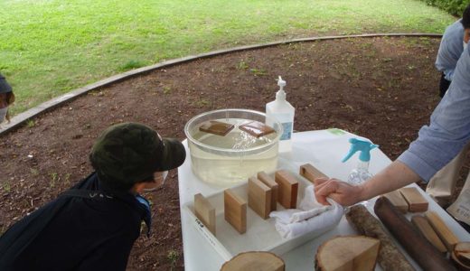 「この木何の木？」イベントを実施しました