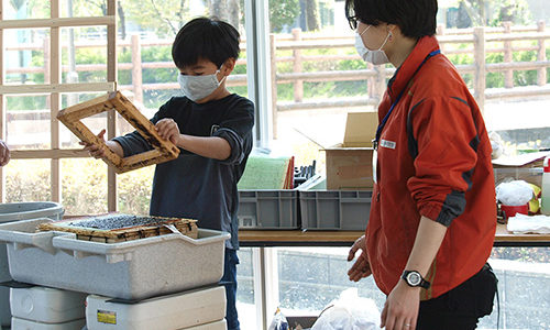 「海苔づくり体験」を実施しました