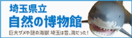 埼玉県立 自然の博物館 巨大ザメや謎の海獣 埼玉は昔、海だった! 新しいウインドウ（タブ）で開きます