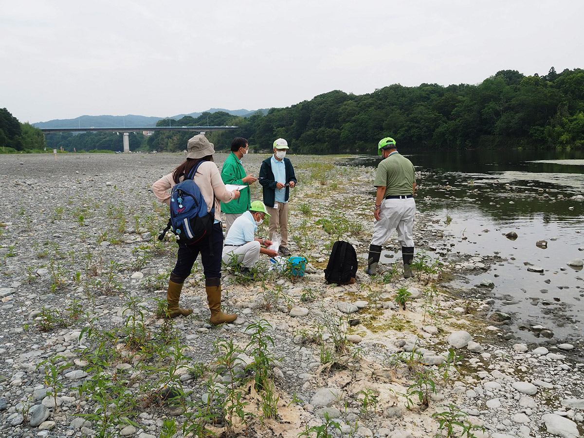 荒川の水質検査 全国一斉水質調査 かわはくボランティアブログ 荒川の水質検査 全国一斉水質調査 かわはくボランティアブログ