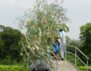 川の日記念「七夕かざりつくり」を行いました