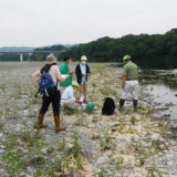 荒川の水質検査（全国一斉水質調査）