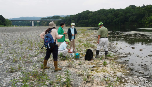 荒川の水質検査（全国一斉水質調査）