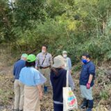 川の博物館の植物観察会（研修会）