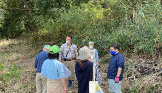 川の博物館の植物観察会（研修会）