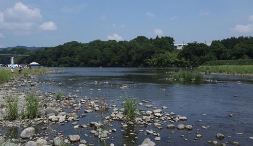 荒川の水質検査（全国一斉水質調査）