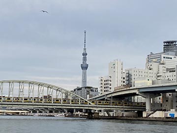 館外研修②　日本橋川・神田川・隅田川を巡る