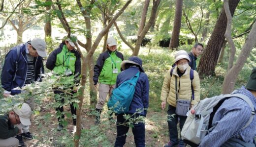令和7年度　館外研修（森林公園）