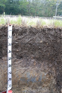 <p>かわはく近くの水田土壌(寄居町)</p>