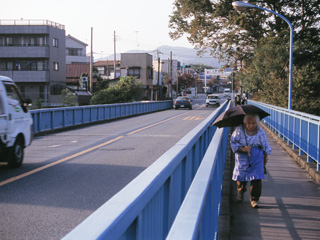 <p>写真協力：荒川を撮る会・岩田省三 氏 </p>
