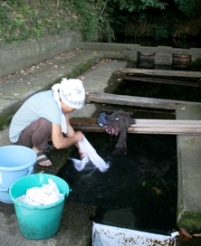 <p>写真:今も生活に使われている湧水</p>