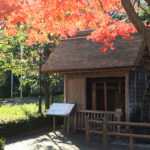 秋の紅葉と水車小屋広場