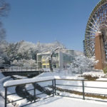 雪が積もった大水車の様子