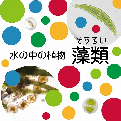 スロープ展示 水の中の植物 藻類 埼玉県立川の博物館 かわはく スロープ展示 水の中の植物 藻類 埼玉県立川の博物館 かわはく