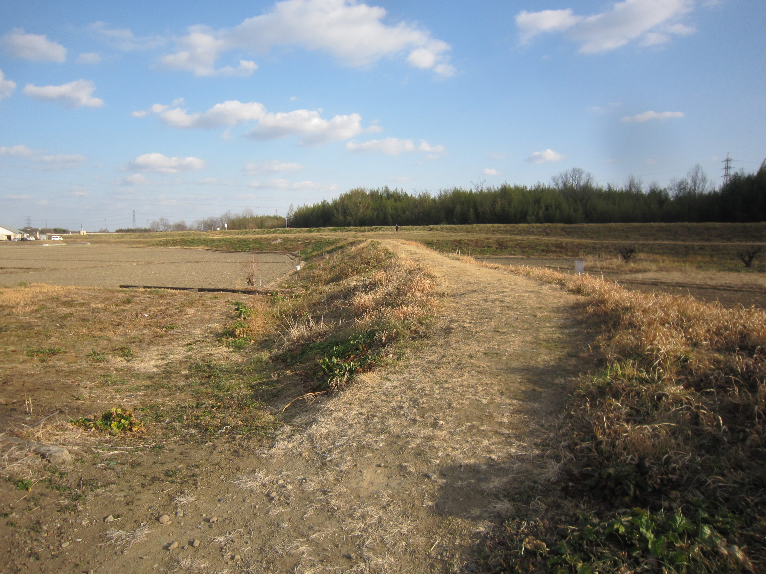 越辺川左岸に残る霞堤(鳩山町石坂)