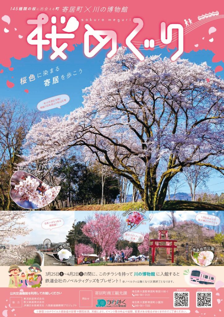 桜を見て、歩いて、寄居を楽しもぅ | 埼玉県立川の博物館（かわはく）