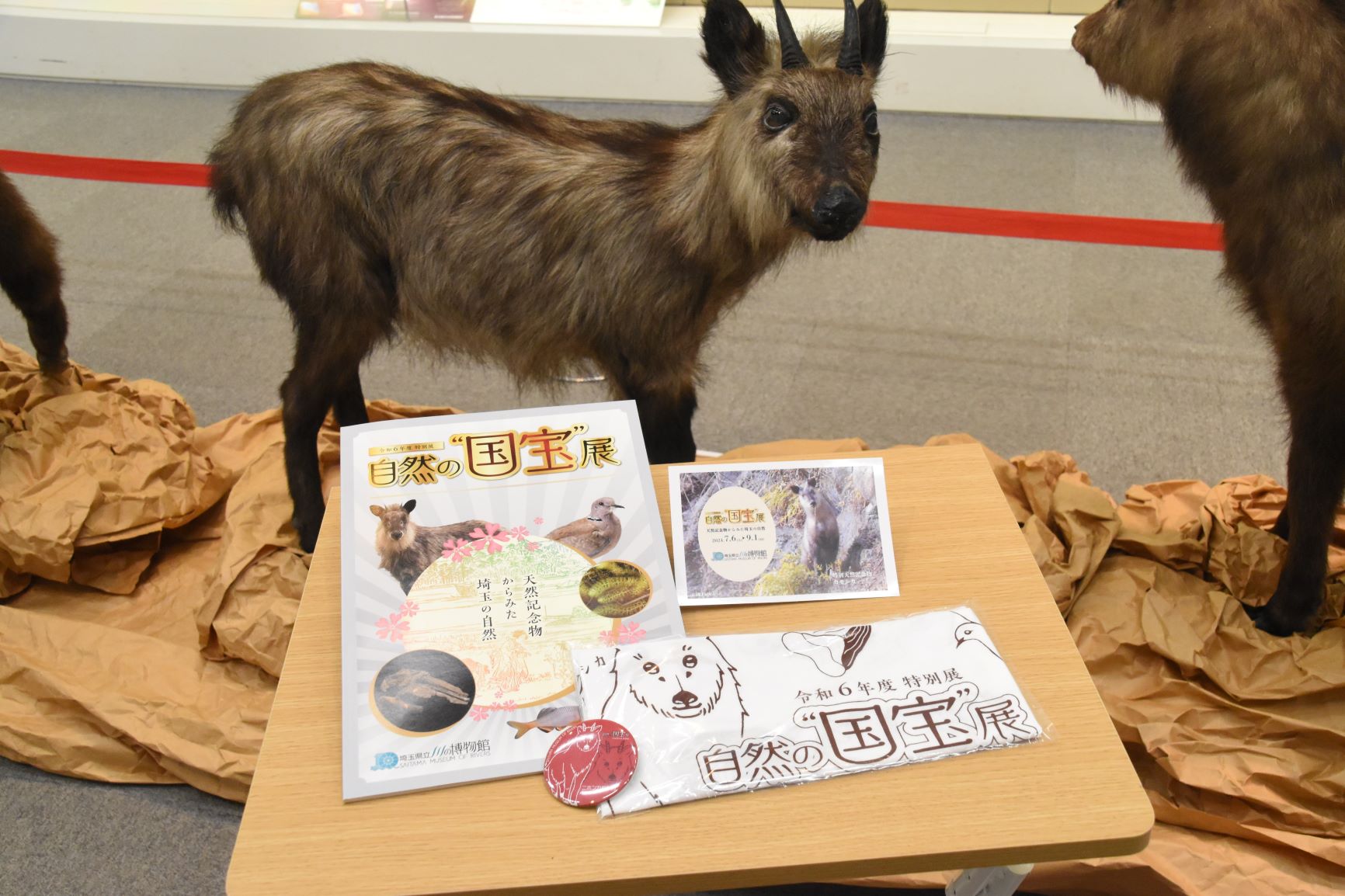 特別展＆かわはくグッズを販売しています！ | 埼玉県立川の博物館 