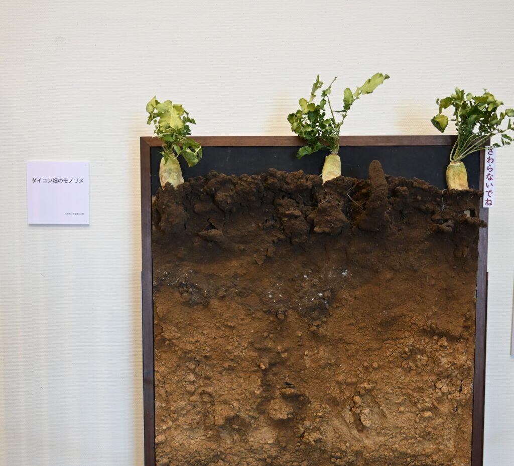 ダイコン畑のモノリス