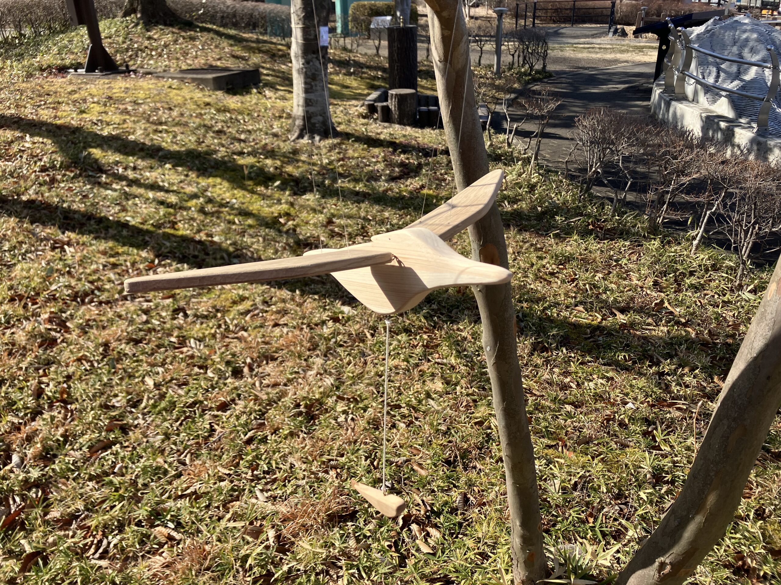 カワシロウが飛んでいます。