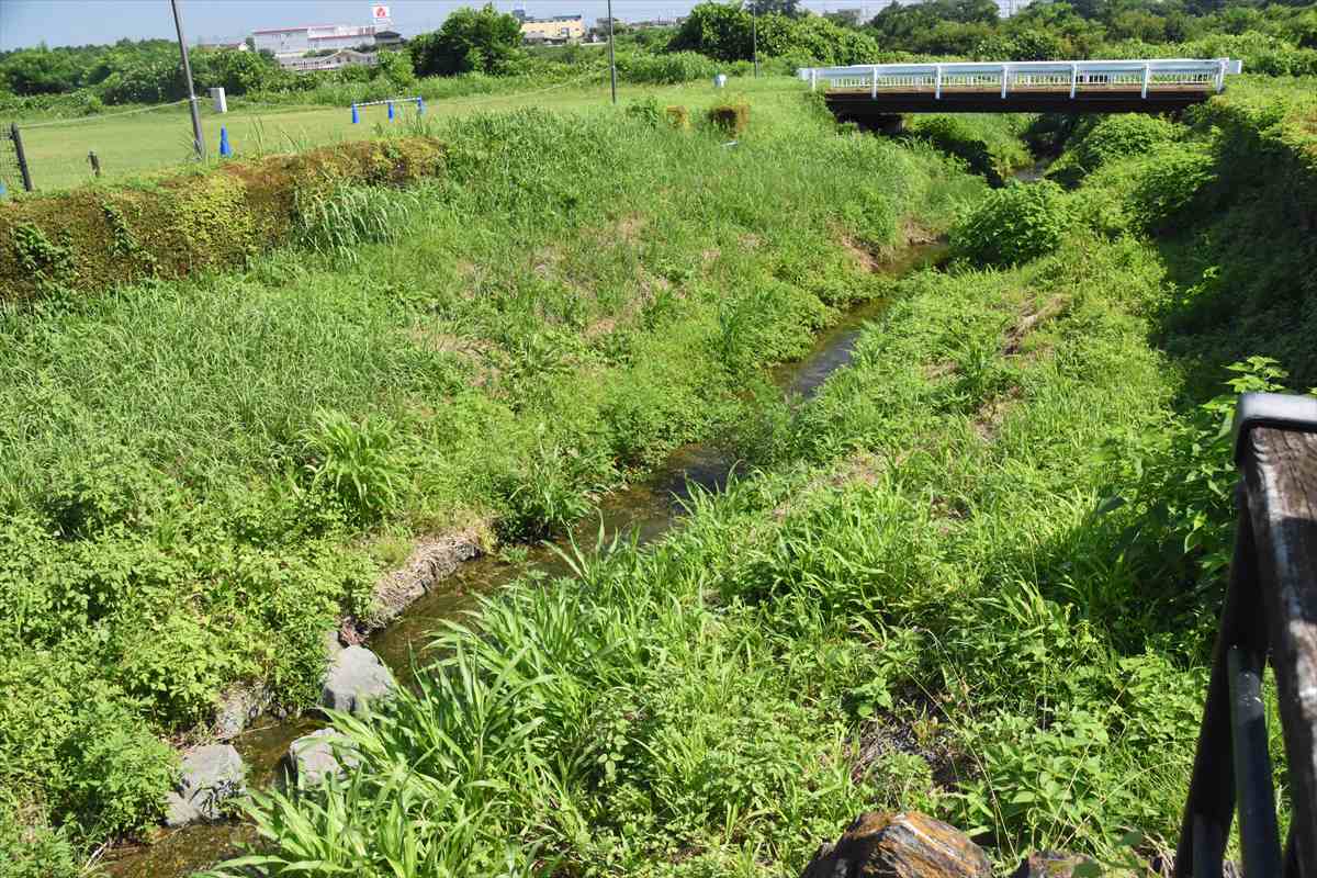 かわはく敷地内に流れる宮川