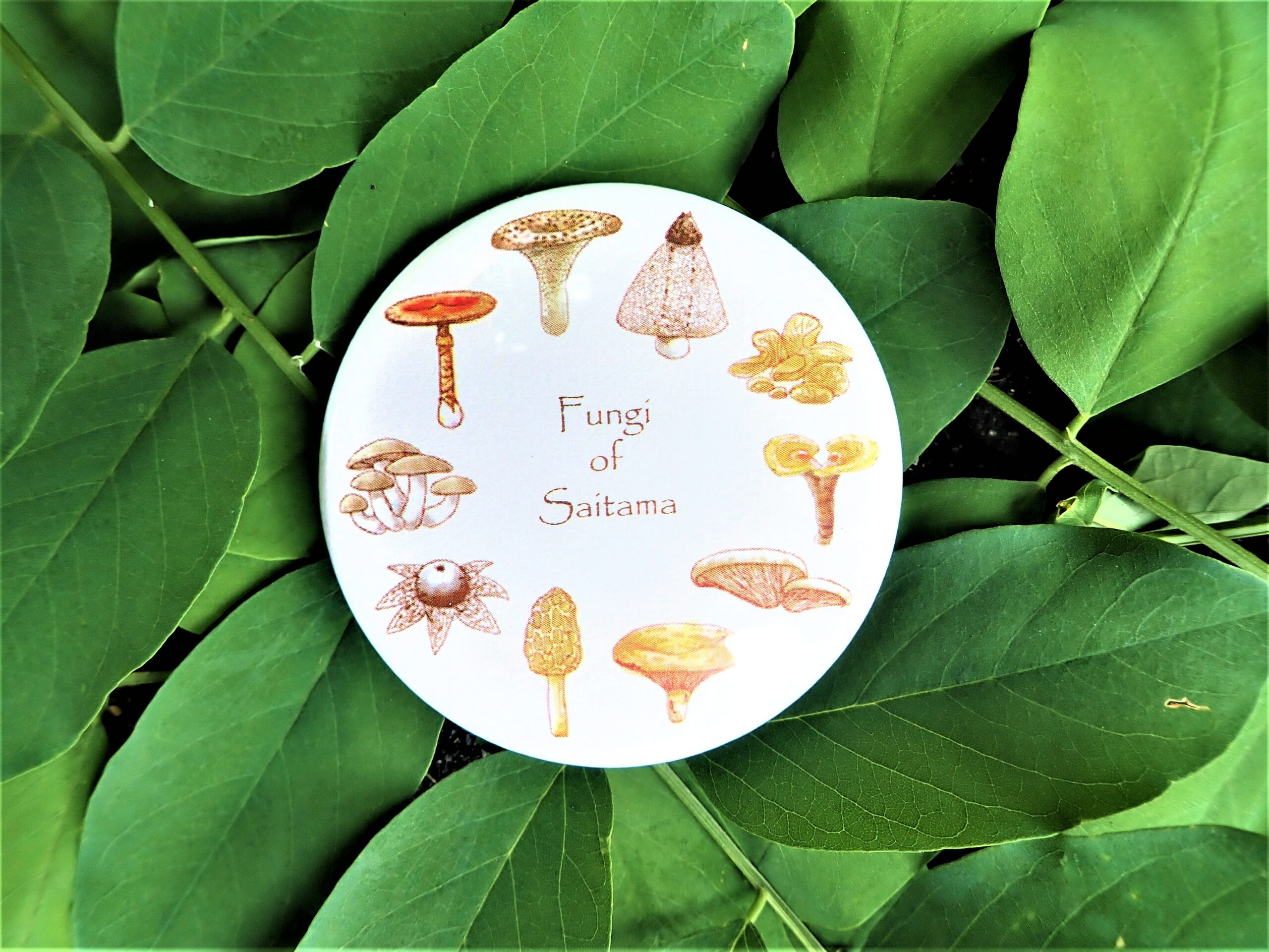 可愛いきのこがデザインされたオリジナル缶ミラー