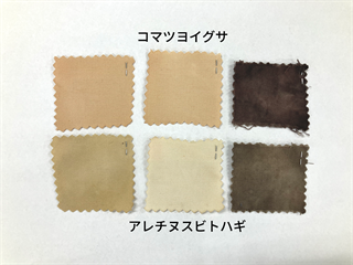 それぞれ、アルミ、クロム、鉄の媒染剤で染色した例です。当日は、アルミ、鉄、銅を使用する予定です。