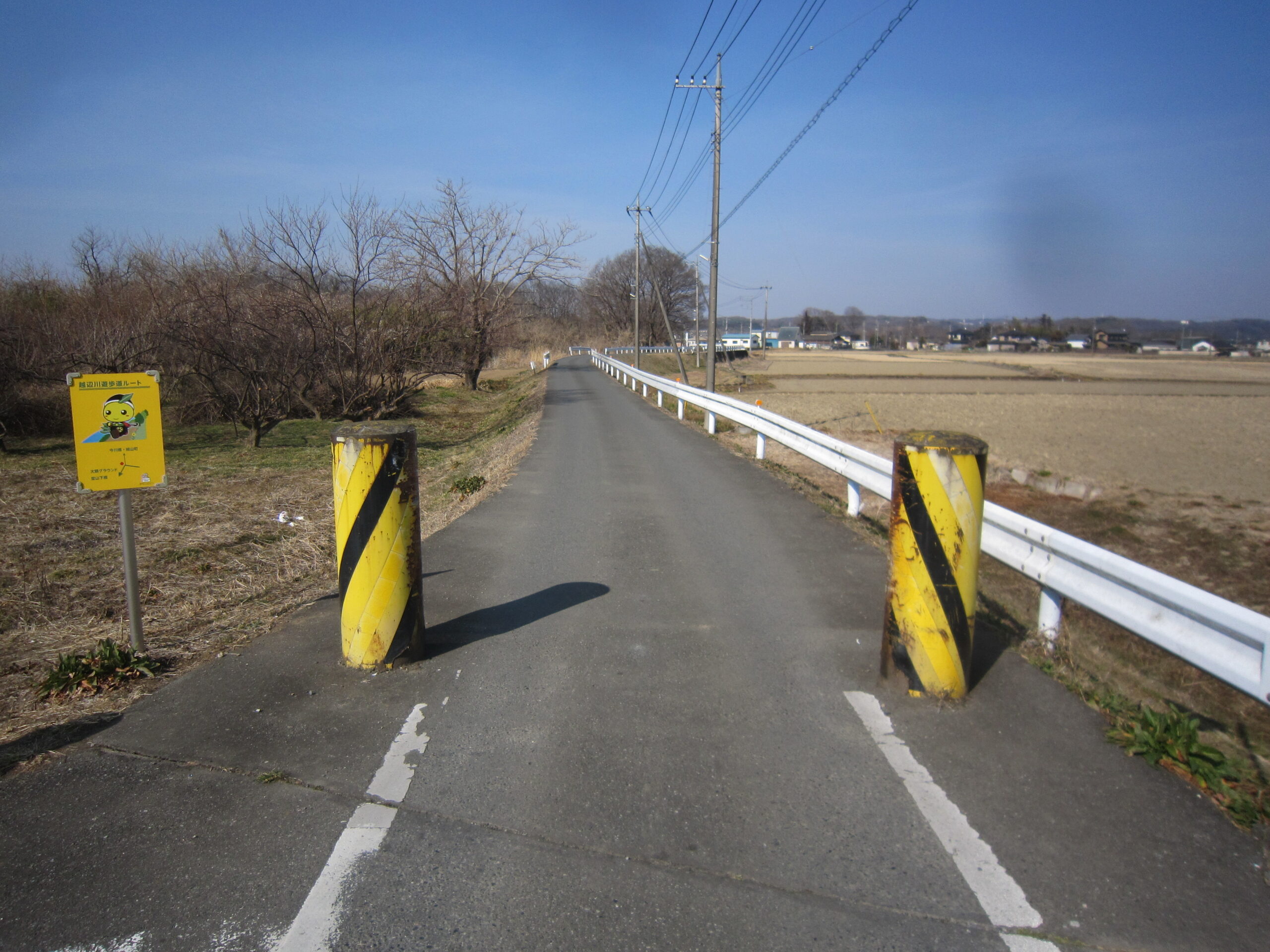 改修工事前の越辺川右岸側堤防(毛呂山町大類)